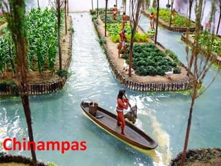 Chinampas
 