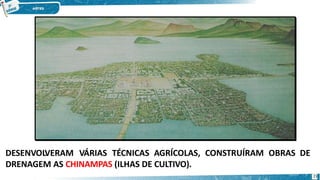 DESENVOLVERAM VÁRIAS TÉCNICAS AGRÍCOLAS, CONSTRUÍRAM OBRAS DE
DRENAGEM AS CHINAMPAS (ILHAS DE CULTIVO).
23
 