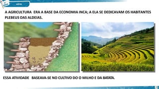 A AGRICULTURA ERA A BASE DA ECONOMIA INCA; A ELA SE DEDICAVAM OS HABITANTES
PLEBEUS DAS ALDEIAS.
ESSA ATIVIDADE BASEAVA-SE NO CULTIVO DO O MILHO E DA BATATA.
45
 