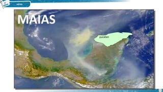 MAIAS
6
yucatan
 
