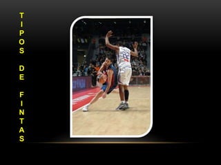 T
I
P
O
S
D
E
F
I
N
T
A
S
 