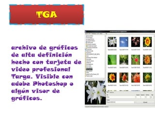 TGAarchivo de gráficos de alta definición hecho con tarjeta de video profesional Targa. Visible con adobe Photoshop o algún visor de gráficos. 