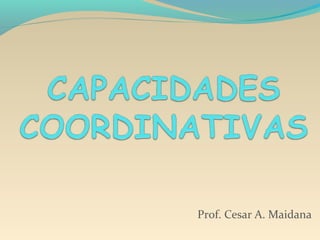 Prof. Cesar A. Maidana 
 