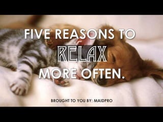 5 Reasons to Relax More Often 
Brought to you by: MaidPro 
 