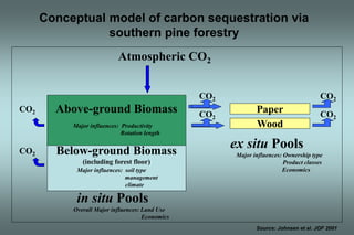 Paper 
Wood 
Above-ground Biomass 
Major influences: Productivity 
Rotation length 
Major influences: soil type 
management 
climate 
in situ Pools 
ex situ Pools 
Atmospheric CO2 
Below-ground Biomass 
(including forest floor) 
Overall Major influences: Land Use 
Economics 
Major influences: Ownership type 
Product classes 
Economics 
CO2 
CO2 
CO2 
CO2 
CO2 
CO2 
Conceptual model of carbon sequestration via 
southern pine forestry 
Source: Johnsen et al. JOF 2001 
 