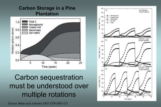 Carbon Storage in a Pine 
Plantation 
Carbon sequestration 
must be understood over 
multiple rotations 
Source: Maier and Johnsen 2007 GTR-SRS-121 
 