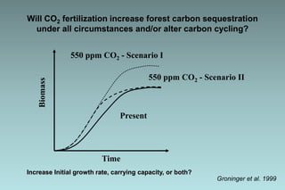 Will CO2 fertilization increase forest carbon sequestration 
under all circumstances and/or alter carbon cycling? 
Biomass 
550 ppm CO2 - Scenario I 
Present 
550 ppm CO2 - Scenario II 
Increase Initial growth rate, carrying capacity, or both? 
Groninger et al. 1999 
Time 
 
