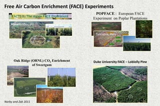Free Air Carbon Enrichment (FACE) Experiments 
POPFACE : European FACE 
Experiment on Poplar Plantations 
Rhinelander, WI 
Oak Ridge (ORNL) CO2 Enrichment 
of Sweetgum 
Duke University FACE – Loblolly Pine 
Norby and Zak 2011 
Tuscania, Italy 
 