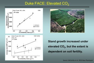 Duke FACE: Elevated CO2 
Stand growth increased under 
elevated CO2, but the extent is 
dependent on soil fertility. 
Source: McCarthy et al. 2010 New Phytologist 
 