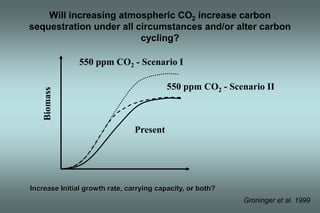 Will increasing atmospheric CO2 increase carbon 
sequestration under all circumstances and/or alter carbon 
cycling? 
Biomass 
550 ppm CO2 - Scenario I 
Present 
550 ppm CO2 - Scenario II 
Increase Initial growth rate, carrying capacity, or both? 
Groninger et al. 1999 
 