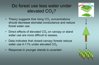 Do forest use less water under 
elevated CO2? 
• Theory suggests that rising CO2 concentrations 
should decrease stomatal conductance and reduce 
forest water use. 
• Direct effects of elevated CO2 on canopy or stand 
water use are more difficult to assess. 
• Data indicates that closed-canopy forests reduce 
water use 4-11% under elevated CO2 
• Response in younger stands is uncertain 
 