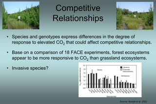 Competitive 
Relationships 
• Species and genotypes express differences in the degree of 
response to elevated CO2 that could affect competitive relationships. 
• Base on a comparison of 18 FACE experiments, forest ecosystems 
appear to be more responsive to CO2 than grassland ecosystems. 
• Invasive species? 
Source: Nowak et al. 2002 
 