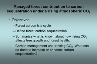 Managed forest contribution to carbon 
sequestration under a rising atmospheric CO2 
• Objectives: 
– Forest carbon is a cycle 
– Define forest carbon sequestration 
– Summarize what is known about how rising CO2 
affects tree growth and forest health. 
– Carbon management under rising CO2. What can 
be done to increase or enhance carbon 
sequestration? 
 