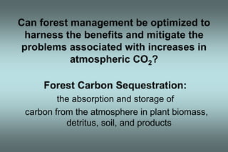 Can forest management be optimized to 
harness the benefits and mitigate the 
problems associated with increases in 
atmospheric CO2? 
Forest Carbon Sequestration: 
the absorption and storage of 
carbon from the atmosphere in plant biomass, 
detritus, soil, and products 
 