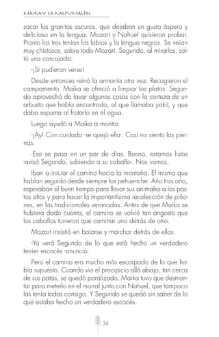 MAIKAY LA KALFUMALÉN
34
sacar los granitos oscuros, que dejaban un gusto áspero y
delicioso en la lengua. Mozart y Nahuel quisieron probar.
Pronto los tres tenían los labios y la lengua negros. Se veían
muy chistosos, sobre todo Mozart. Segundo, al mirarlos, sol-
tó una carcajada:
-¡Si pudieran verse!
Desde entonces reinó la armonía otra vez. Recogieron el
campamento. Maika se ofreció a limpiar los platos. Segun-
do aprovechó de lavar algunas cosas con la corteza de un
arbusto que había encontrado, al que llamaba yakil, y que
daba espuma al frotarlo en el agua.
Luego ayudó a Maika a montar.
-¡Ay! Con cuidado -se quejó ella-. Casi no siento las pier-
nas.
-Eso se pasa en un par de días. Bueno, estamos listos
-avisó Segundo, subiendo a su caballo-. Nos vamos.
Iban a iniciar el camino hacia la montaña. El mismo que
habían seguido desde siempre los pehuenche. Año tras año,
esperaban el buen tiempo para llevar sus animales a los pas-
tos altos y para hacer la importantísima recolección de piño-
nes, en las tradicionales veranadas. Antes de que Maika se
hubiera dado cuenta, el camino se volvió tan angosto que
los caballos tuvieron que caminar uno detrás de otro.
Mozart insistió en bajarse y marchar detrás de ellos.
-Ya verá Segundo de lo que está hecho un verdadero
terrier escocés -anunció.
Pero el camino era mucho más escarpado de lo que ha-
bía supuesto. Cuando vio el precipicio allá abajo, tan cerca
de sus patas, se quedó paralizado. Maika tuvo que desmon-
tar para meterlo en el morral junto con Nahuel, que tampoco
las tenía todas consigo. Y Segundo se quedó sin saber de lo
que estaba hecho un verdadero escocés.
 