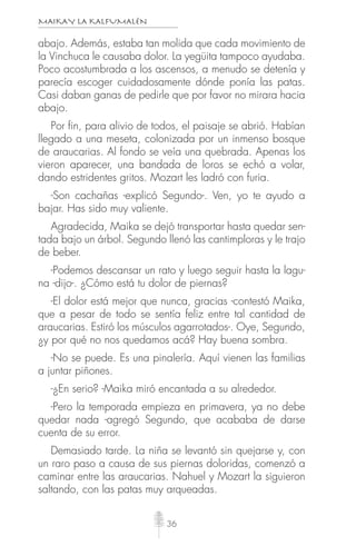MAIKAY LA KALFUMALÉN
36
abajo. Además, estaba tan molida que cada movimiento de
la Vinchuca le causaba dolor. La yegüita tampoco ayudaba.
Poco acostumbrada a los ascensos, a menudo se detenía y
parecía escoger cuidadosamente dónde ponía las patas.
Casi daban ganas de pedirle que por favor no mirara hacia
abajo.
Por fin, para alivio de todos, el paisaje se abrió. Habían
llegado a una meseta, colonizada por un inmenso bosque
de araucarias. Al fondo se veía una quebrada. Apenas los
vieron aparecer, una bandada de loros se echó a volar,
dando estridentes gritos. Mozart les ladró con furia.
-Son cachañas -explicó Segundo-. Ven, yo te ayudo a
bajar. Has sido muy valiente.
Agradecida, Maika se dejó transportar hasta quedar sen-
tada bajo un árbol. Segundo llenó las cantimploras y le trajo
de beber.
-Podemos descansar un rato y luego seguir hasta la lagu-
na -dijo-. ¿Cómo está tu dolor de piernas?
-El dolor está mejor que nunca, gracias -contestó Maika,
que a pesar de todo se sentía feliz entre tal cantidad de
araucarias. Estiró los músculos agarrotados-. Oye, Segundo,
¿y por qué no nos quedamos acá? Hay buena sombra.
-No se puede. Es una pinalería. Aquí vienen las familias
a juntar piñones.
-¿En serio? -Maika miró encantada a su alrededor.
-Pero la temporada empieza en primavera, ya no debe
quedar nada -agregó Segundo, que acababa de darse
cuenta de su error.
Demasiado tarde. La niña se levantó sin quejarse y, con
un raro paso a causa de sus piernas doloridas, comenzó a
caminar entre las araucarias. Nahuel y Mozart la siguieron
saltando, con las patas muy arqueadas.
 