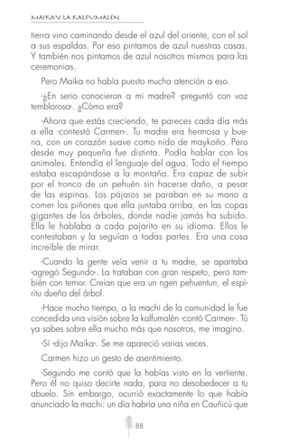 MAIKAY LA KALFUMALÉN
88
tierra vino caminando desde el azul del oriente, con el sol
a sus espaldas. Por eso pintamos de azul nuestras casas.
Y también nos pintamos de azul nosotros mismos para las
ceremonias.
Pero Maika no había puesto mucha atención a eso.
-¿En serio conocieron a mi madre? -preguntó con voz
temblorosa-. ¿Cómo era?
-Ahora que estás creciendo, te pareces cada día más
a ella -contestó Carmen-. Tu madre era hermosa y bue-
na, con un corazón suave como nido de maykoño. Pero
desde muy pequeña fue distinta. Podía hablar con los
animales. Entendía el lenguaje del agua. Todo el tiempo
estaba escapándose a la montaña. Era capaz de subir
por el tronco de un pehuén sin hacerse daño, a pesar
de las espinas. Los pájaros se paraban en su mano a
comer los piñones que ella juntaba arriba, en las copas
gigantes de los árboles, donde nadie jamás ha subido.
Ella le hablaba a cada pajarito en su idioma. Ellos le
contestaban y la seguían a todas partes. Era una cosa
increíble de mirar.
-Cuando la gente veía venir a tu madre, se apartaba
-agregó Segundo-. La trataban con gran respeto, pero tam-
bién con temor. Creían que era un ngen pehuentun, el espí-
ritu dueño del árbol.
-Hace mucho tiempo, a la machi de la comunidad le fue
concedida una visión sobre la kalfumalén -contó Carmen-. Tú
ya sabes sobre ella mucho más que nosotros, me imagino.
-Sí -dijo Maika-. Se me apareció varias veces.
Carmen hizo un gesto de asentimiento.
-Segundo me contó que la habías visto en la vertiente.
Pero él no quiso decirte nada, para no desobedecer a tu
abuelo. Sin embargo, ocurrió exactamente lo que había
anunciado la machi: un día habría una niña en Cauñicú que
 