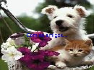 Com os amigos... 