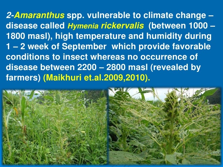 climate change mitigation strategies pdf