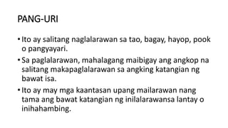 PANG-URI
• Ito ay salitang naglalarawan sa tao, bagay, hayop, pook
o pangyayari.
• Sa paglalarawan, mahalagang maibigay ang angkop na
salitang makapaglalarawan sa angking katangian ng
bawat isa.
• Ito ay may mga kaantasan upang mailarawan nang
tama ang bawat katangian ng inilalarawansa lantay o
inihahambing.
 