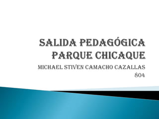 Salida pedagógica parque chicaque Michael stivencamacho cazallas 804  