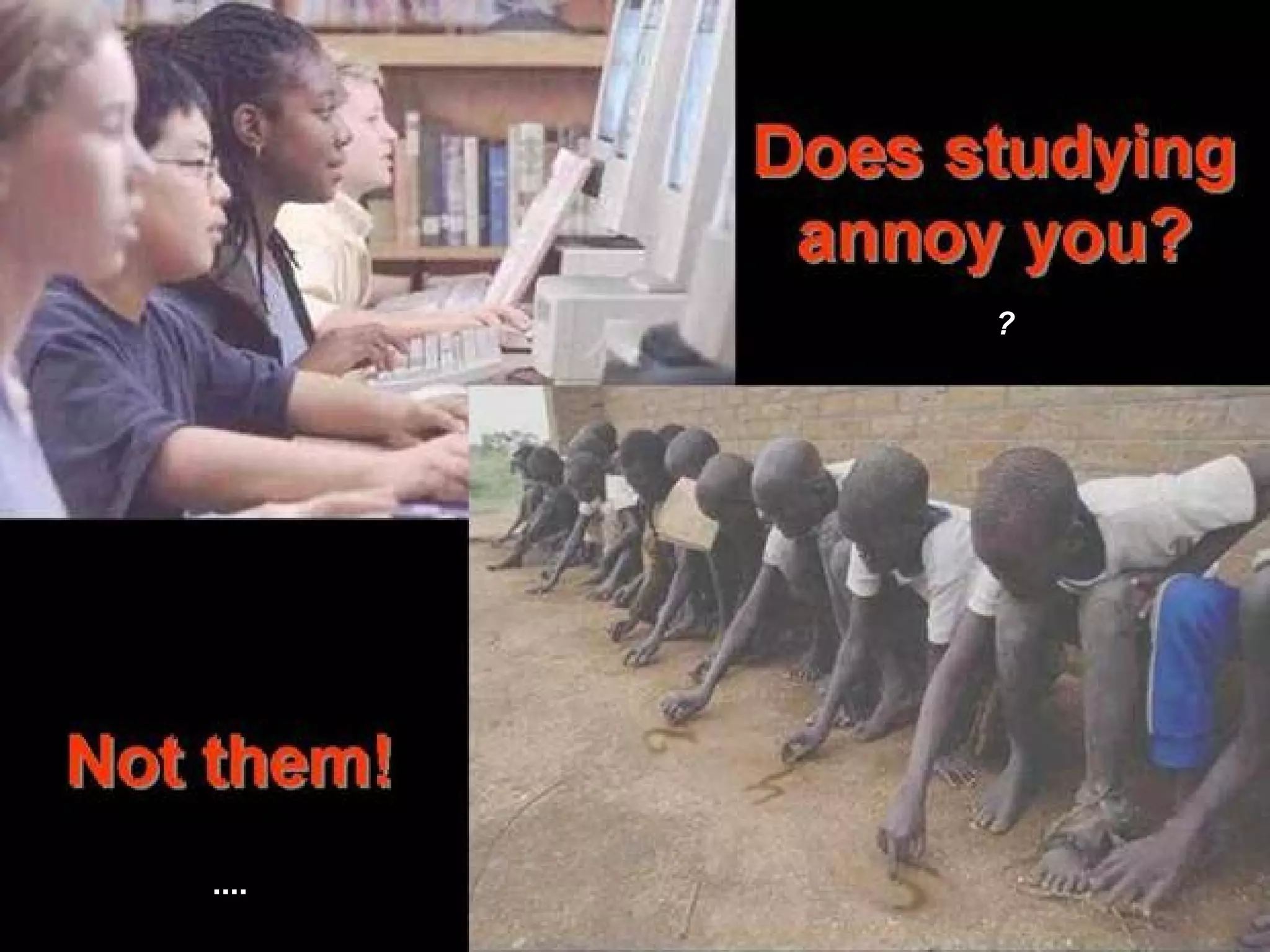 estudar te chateia?
....
?