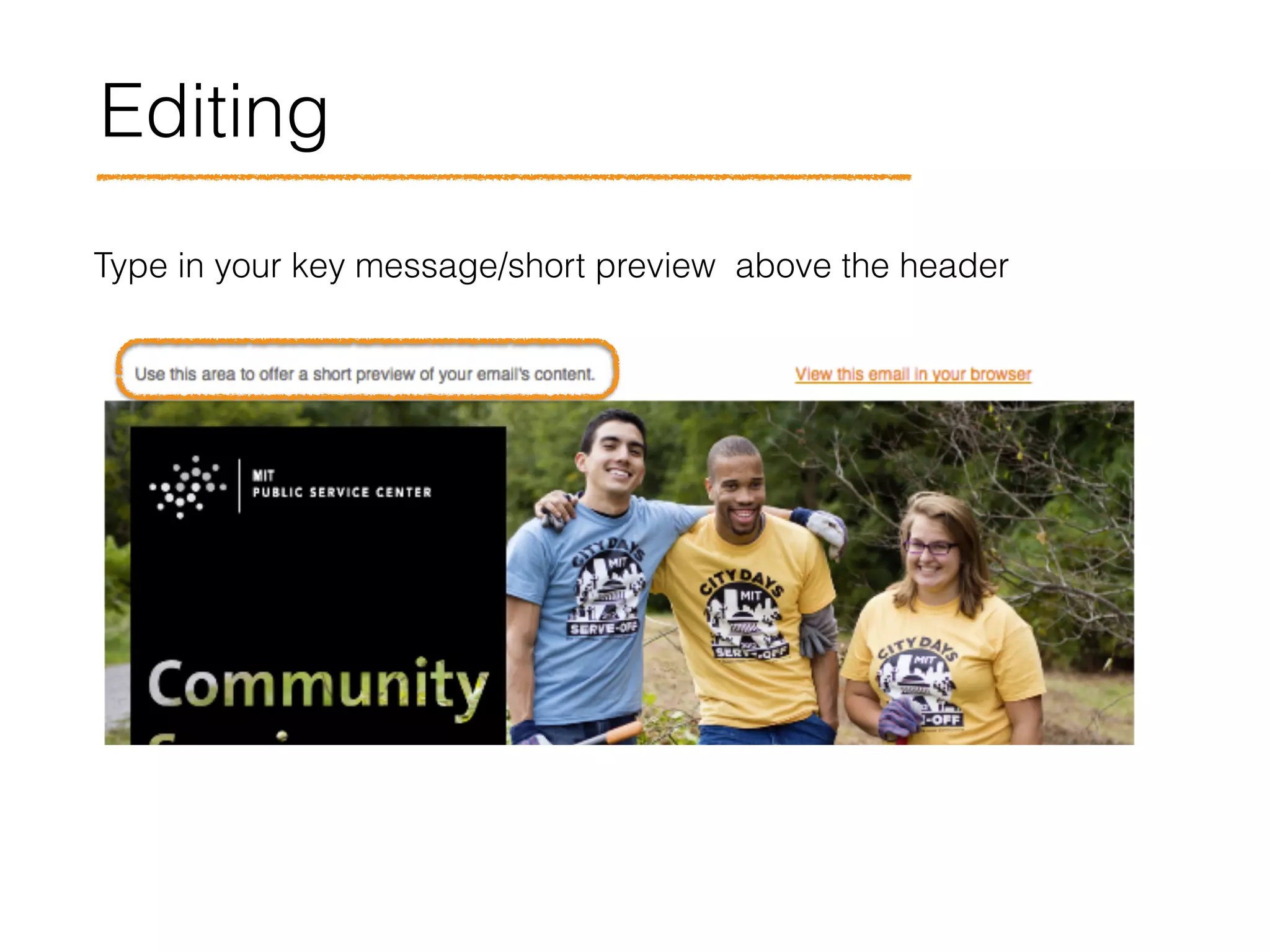 Editing
Type in your key message/short preview above the header
 