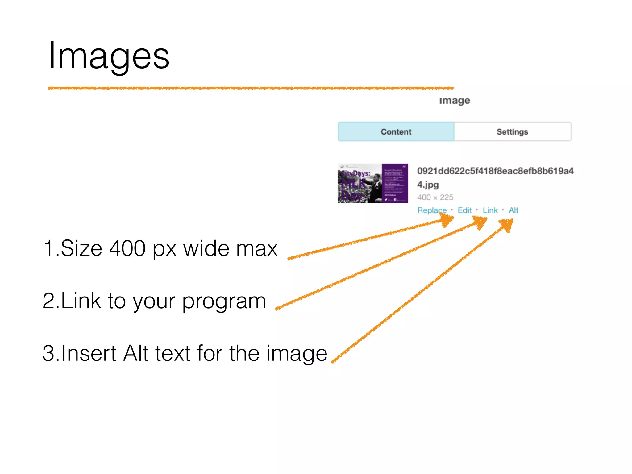 Images
1.Size 400 px wide max
2.Link to your program
3.Insert Alt text for the image
 