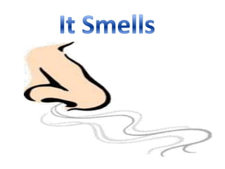 Mail handling revision lauren