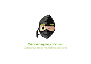 MailNinja Agency Services
Enterprise email marketing solutions
 