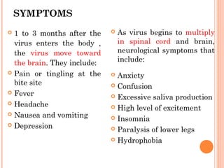 SYMPTOMS
 1 to 3 months after the
virus enters the body ,
the virus move toward
the brain. They include:
 Pain or tingling at the
bite site
 Fever
 Headache
 Nausea and vomiting
 Depression
 As virus begins to multiply
in spinal cord and brain,
neurological symptoms that
include:
 Anxiety
 Confusion
 Excessive saliva production
 High level of excitement
 Insomnia
 Paralysis of lower legs
 Hydrophobia
 