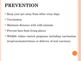 PREVENTION
 Keep your pet away from other stray dogs.
 Vaccination
 Maintain distance with wild animals.
 Prevent bats from living places
 Wildlife rabies control programs including vaccination
(trap/vaccinate/release or delivery of oral vaccines).
 