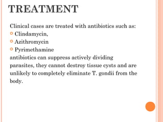 TREATMENT
Clinical cases are treated with antibiotics such as:
 Clindamycin,
 Azithromycin
 Pyrimethamine
antibiotics can suppress actively dividing
parasites, they cannot destroy tissue cysts and are
unlikely to completely eliminate T. gondii from the
body.
 