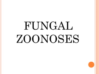FUNGAL
ZOONOSES
 