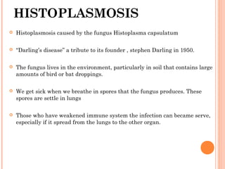 HISTOPLASMOSIS
 Histoplasmosis caused by the fungus Histoplasma capsulatum
 “Darling’s disease” a tribute to its founder , stephen Darling in 1950.
 The fungus lives in the environment, particularly in soil that contains large
amounts of bird or bat droppings.
 We get sick when we breathe in spores that the fungus produces. These
spores are settle in lungs
 Those who have weakened immune system the infection can became serve,
especially if it spread from the lungs to the other organ.
 