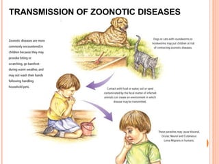TRANSMISSION OF ZOONOTIC DISEASES
 