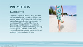Beach Resort Marketing Mix | PPTX