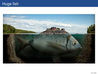 Huge ﬁsh




           49 / 202
 