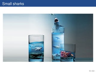 Small sharks




               50 / 202
 