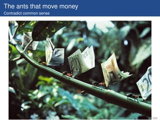 The ants that move money
Contradict common sense




                           87 / 202
 