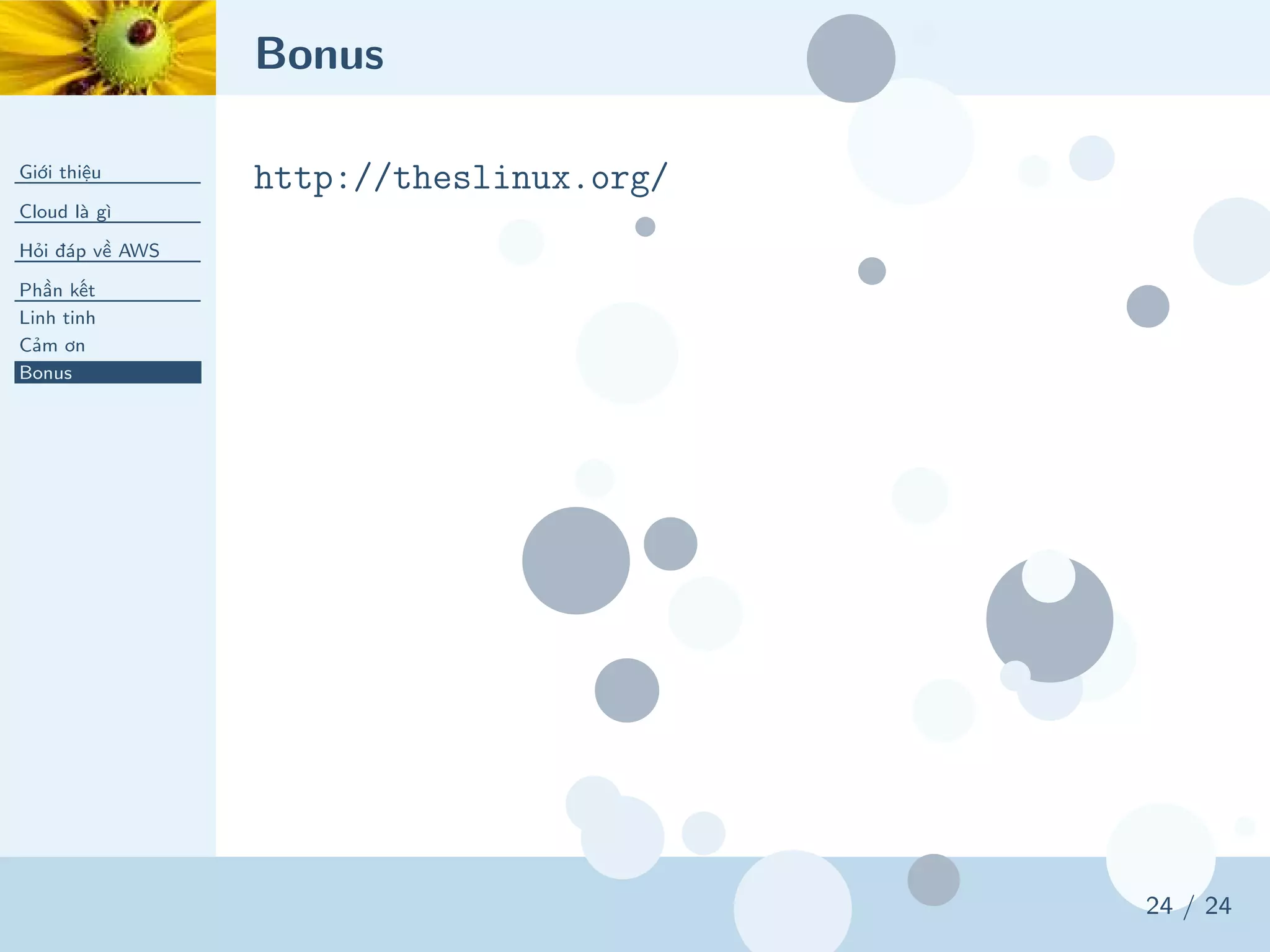Bonus
Giới thiệu
Cloud là gì
Hỏi đáp về AWS
Phần kết
Linh tinh
Cảm ơn
Bonus
24 / 24
http://theslinux.org/
 