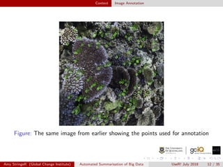 Context Image Annotation
Figure: The same image from earlier showing the points used for annotation
Amy StringeR (Global Change Institute) Automated Summarisation of Big Data UseR! July 2018 12 / 35
 