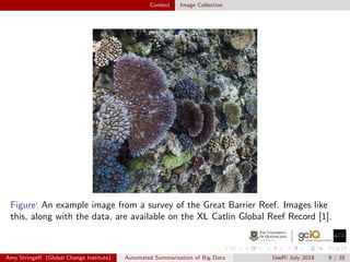 Context Image Collection
Figure: An example image from a survey of the Great Barrier Reef. Images like
this, along with the data, are available on the XL Catlin Global Reef Record [1].
Amy StringeR (Global Change Institute) Automated Summarisation of Big Data UseR! July 2018 9 / 35
 