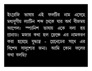 Cw­l¢S i¡o¡u HC gm¢Vl e¡j H­p­R
jdÉk¤N£u mÉ¡¢Ve në ­b­L k¡l AbÑ h£Sju
B­fmz ØfÉ¡¢en i¡o¡u H­L hm¡ qu
NË¡e¡Xz jS¡l Lb¡ qm ­é­’ Hl e¡jLlZNË¡e¡Xz jS¡l Lb¡ qm ­é­’ Hl e¡jLlZ
Ll¡ q­u­R k¤Ü¡Ù» - ­NË­e­Xl p¡­b Hl
¢h­no p¡cª­nÉl SeÉz B¢j ­L¡e g­ml
Lb¡ hm¢R?
 