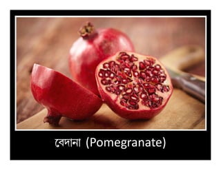 ­hc¡e¡ (Pomegranate)
 