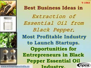 www.entrepreneurindia.co
Y-1563
 