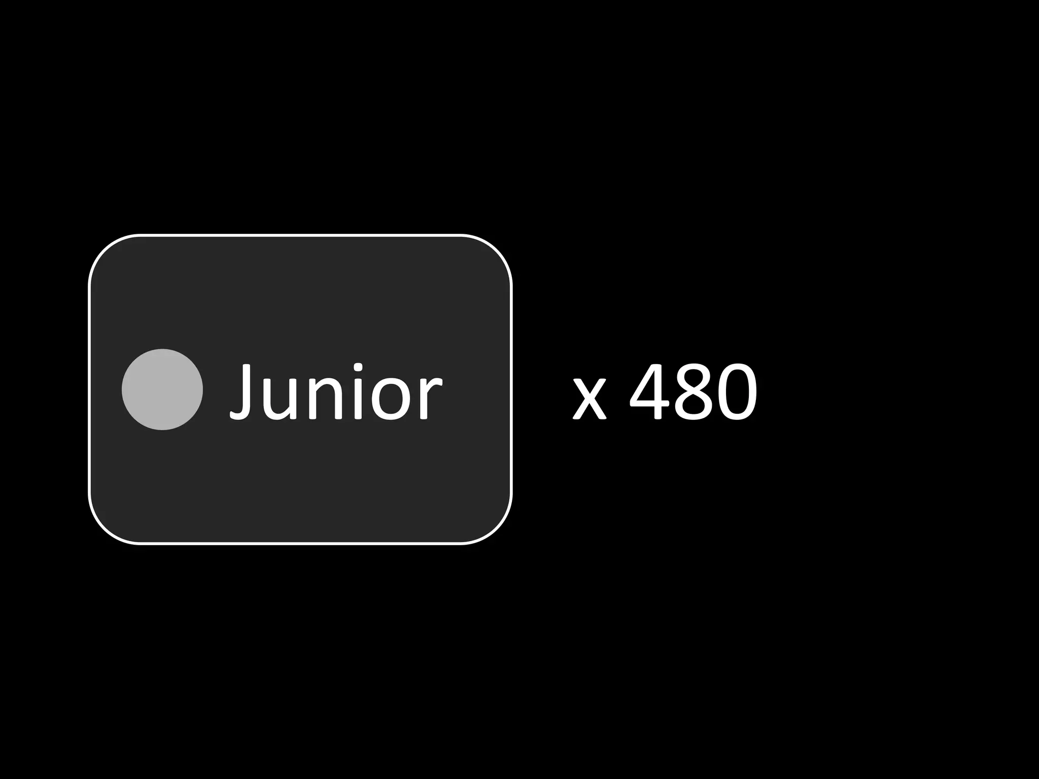 Juniorx 480