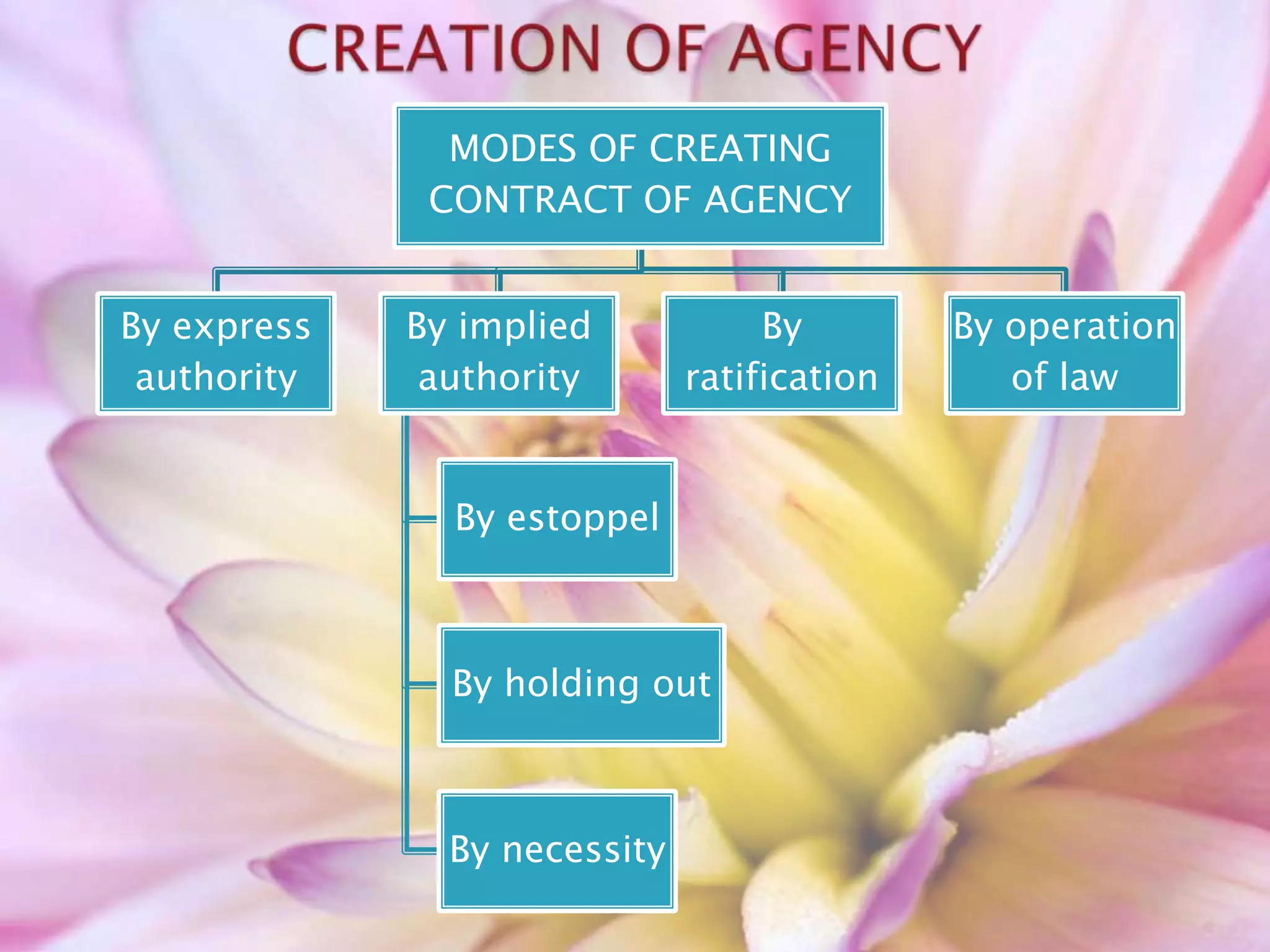 MODES OF CREATING
CONTRACT OF AGENCY
By express
authority
By implied
authority
By estoppel
By holding out
By necessity
By
ratification
By operation
of law
 