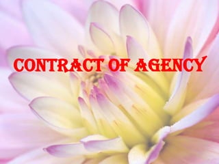 Contract of Agency
 