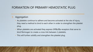 FORMATION OF PRIMARY HEMOSTATIC PLUG
3. Aggregation
• As platelets continue to adhere and become activated at the site of injury,
they need a method to bind to each other in order to strengthen the platelet
plug.
• When platelets are activated they express GPIIb/IIIa receptors that serve to
bind fibrinogen to create a cross-link between 2 platelets.
• This will further solidify and strengthen the platelet plug.
 